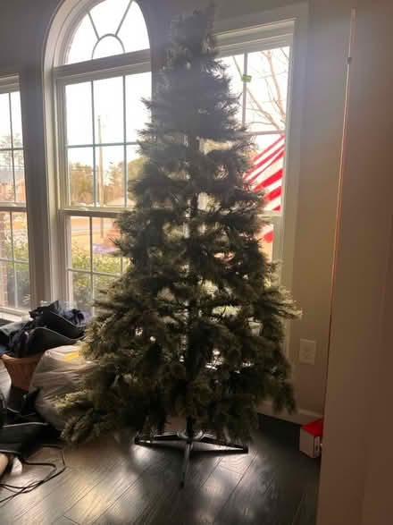 Photo of free Christmas tree (Woodstock) #1