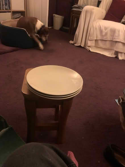 Photo of free Odds of crockery (Hertford SG14) #1