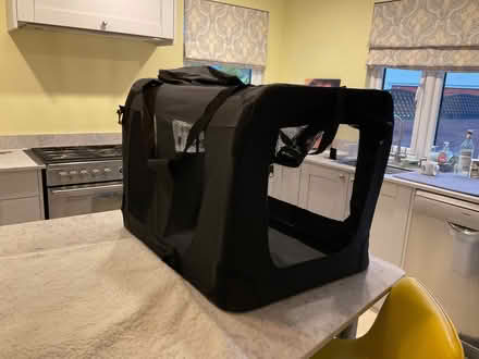 Photo of free Collapsible dog crate (Layer-de-la-Haye CO2) #3