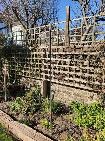 Photo of free Bird feeder (Hove BN3) #1