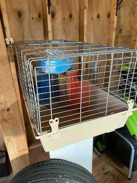 Photo of free Wire Pet Cage with accessories (Varina) #4