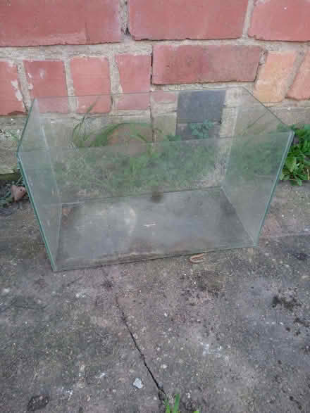 Photo of free Small glass tank - no lid (Kenilworth CV8) #1