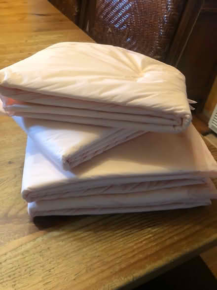 Photo of free 4 pee towels (San Lorenzo) #1