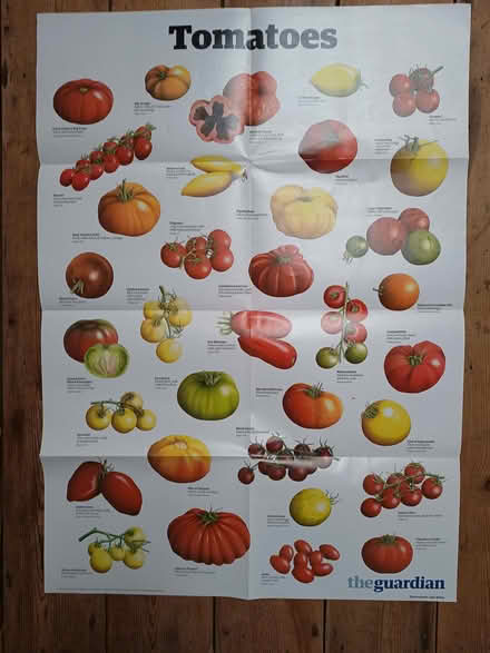 Photo of free Large Natural World posters. Mainly Guardian posters (Risinghurst OX3) #4