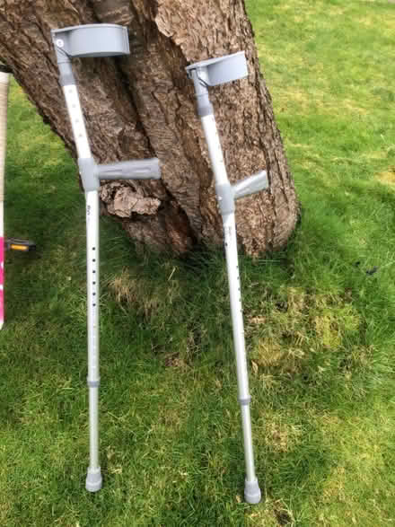 Photo of free Crutches (Knuts) #1