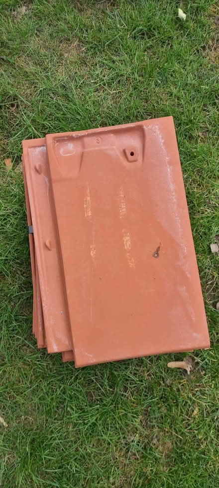 Photo of free 20 20 clay roof tiles (Binfield Heath RG9) #1