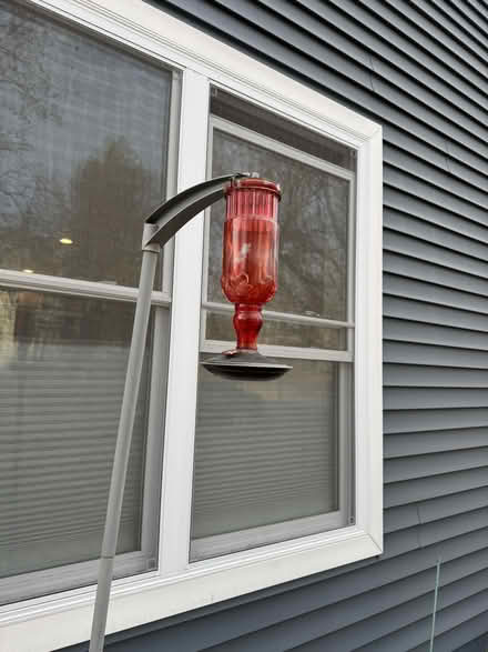 Photo of free Hummingbird feeder (Belle Sherman) #1