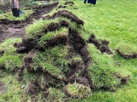 Photo of free Squares of grass (Thorpe Hamlet NR1) #1