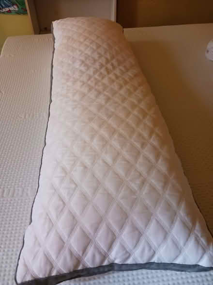 Photo of free Body pillow (60th cedar ave 19143) #1