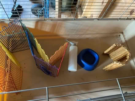 Photo of free Wire Pet Cage with accessories (Varina) #3