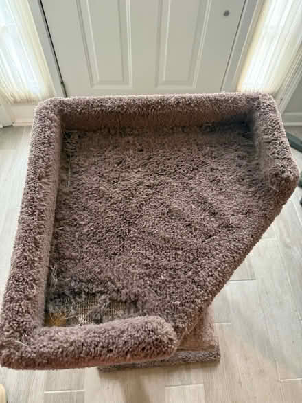 Photo of free Cat Tree (Ashburn Farm - Clearnight Ter) #1