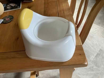 Photo of free Child’s potty (West Oxfordshire OX28) #1