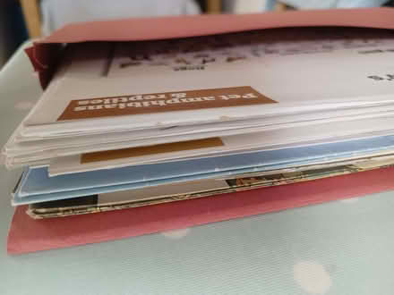 Photo of free Large Natural World posters. Mainly Guardian posters (Risinghurst OX3) #3