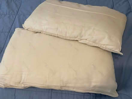 Photo of free used bed pillows (West Plano) #1