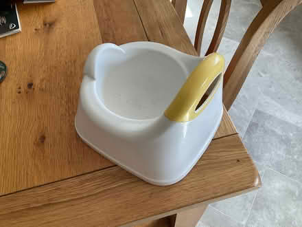 Photo of free Child’s potty (West Oxfordshire OX28) #2