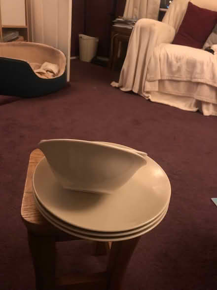 Photo of free Odds of crockery (Hertford SG14) #3