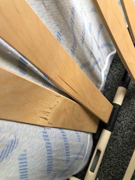 Photo of free Zed bed (Seaside BN22) #4