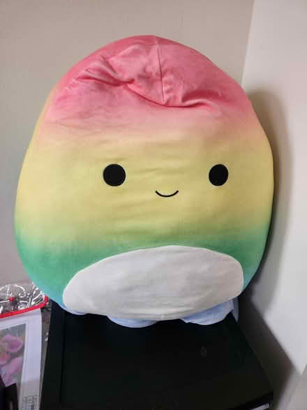 Photo of free Large squishmallow (Germantown) #1