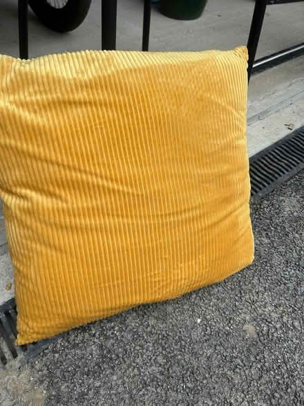 Photo of free Cushions 45cm square (Leckhampton GL53) #1
