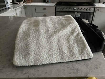 Photo of free Collapsible dog crate (Layer-de-la-Haye CO2) #1