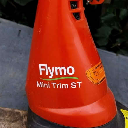 Photo of free Flymo Strimmer (Callow End WR2) #2