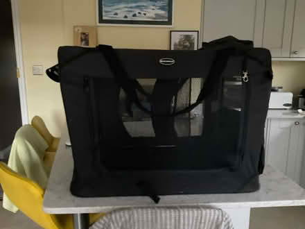 Photo of free Collapsible dog crate (Layer-de-la-Haye CO2) #2