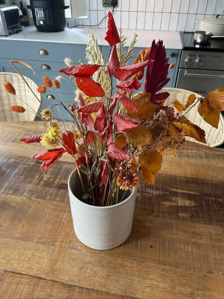 Photo of free Pot of dried flowers (BS9) #1