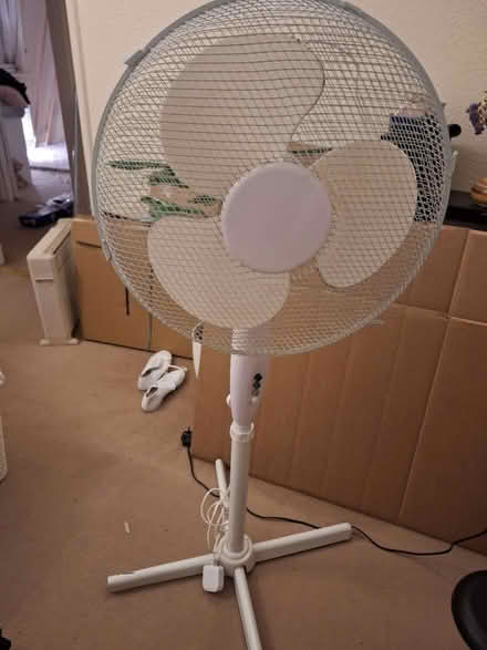 Photo of free Pedestal fan (Maidenhead SL6) #1