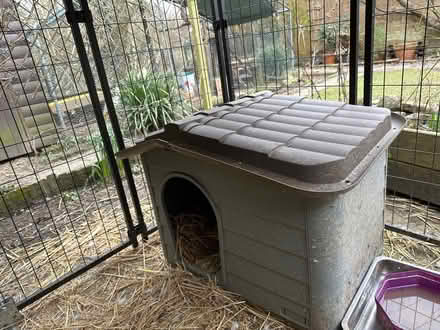 Photo of free Animal shelter (Devizes SN10) #1