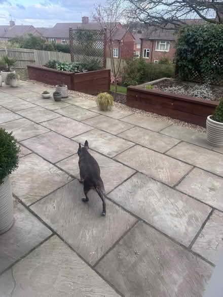 Photo of free Garden gravel (Dunston S41) #2