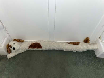 Photo of free Dog Door draught excluder (Welling DA16) #1