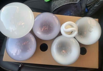 Photo of free Light Bulbs (Old town Fort Collins) #1