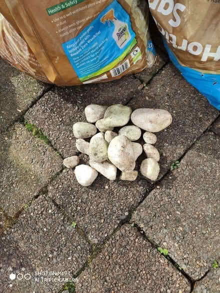 Photo of free 10 bags White stone pebbles (Kendal LA9) #1