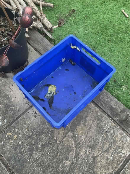 Photo of free Plastic Storage Crate (RG30 Tilehurst) #1