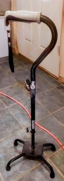 Photo of free 4-footed cane (Green Run by the high school.) #1