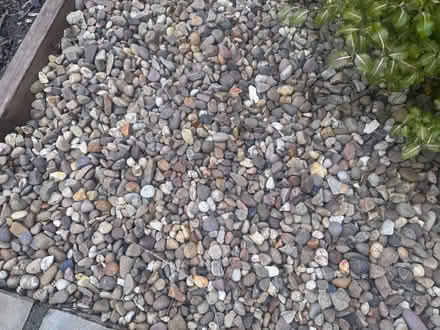 Photo of free Garden gravel (Dunston S41) #3