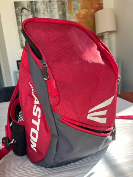 Photo of free Easton baseball bag (Falls Church, VA) #1