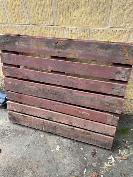 Photo of free Pallet (Cheltenham GL52) #1