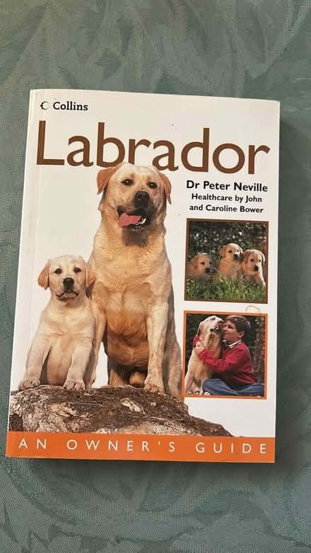 Photo of free Labrador book (Chiswell Green) #1