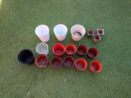 Photo of free Plant pots (Walderslade ME5) #1