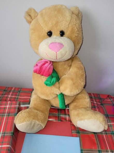 Photo of free Soft toy (Fareham PO15) #1