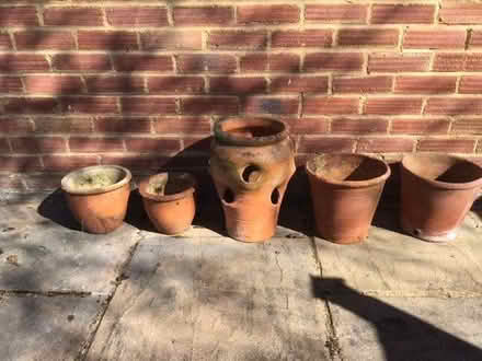 Photo of free terracotta plant pots (Wokingham RG40) #1