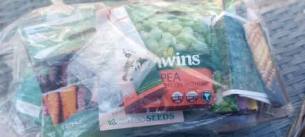 Photo of free Veg & salad seeds (Southport PR8) #1
