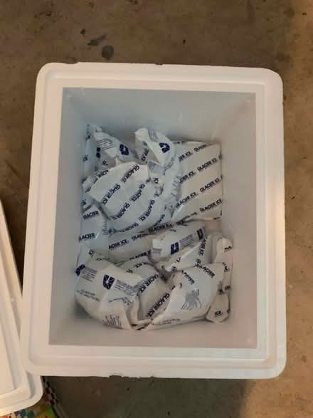 Photo of free Whole bunch of ice packs (Yorktown) #1