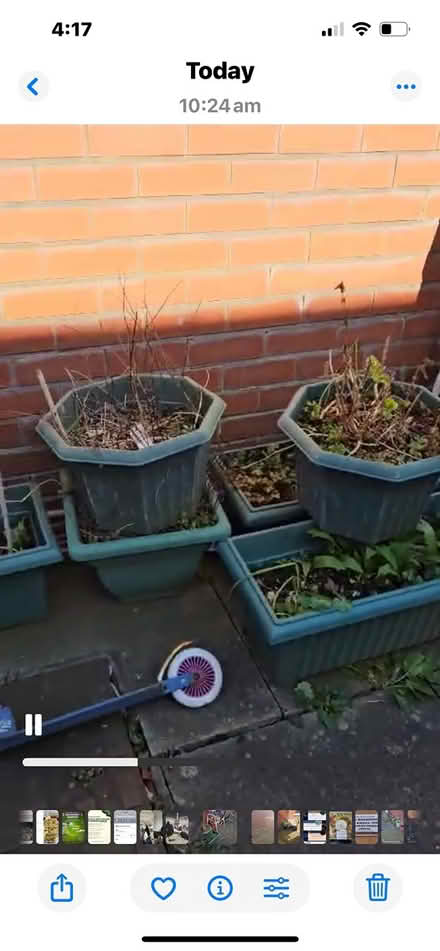 Photo of free Garden plastic flower pots (Ol6 7en) #2