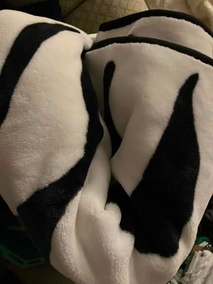 Photo of free Very warm zebra pattern blanket (Barnard's Green WR14) #1