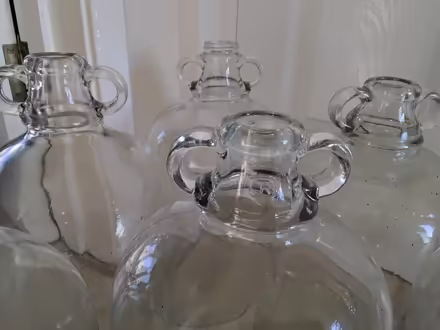 Photo of free 7 x Demijohn fermenting bottles (Welwyn AL6) #3