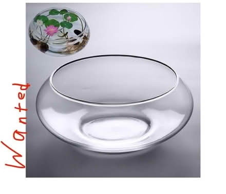 Photo of Lotus Bowl or glass bowl (Nyc) #1