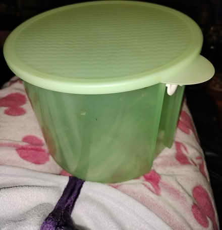 Photo of free Tupperware fresh storage (Fremont) #1