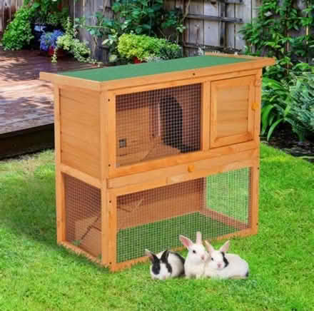 Photo of Outdoor rabbit hutch/cage (Ellenbrook M28) #1